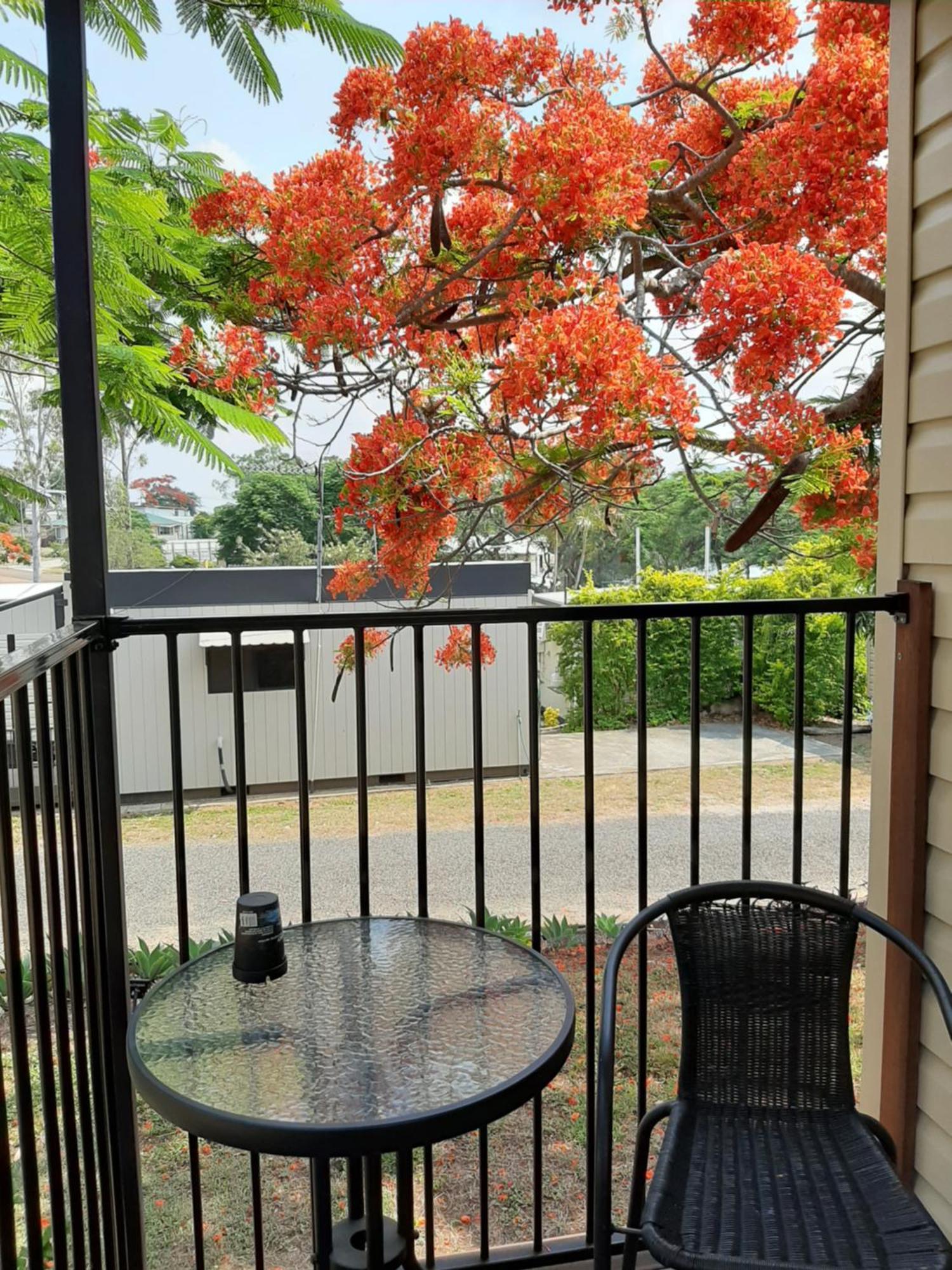 Mt Larcom Tourist Park Hotel Mount Larcom Bagian luar foto