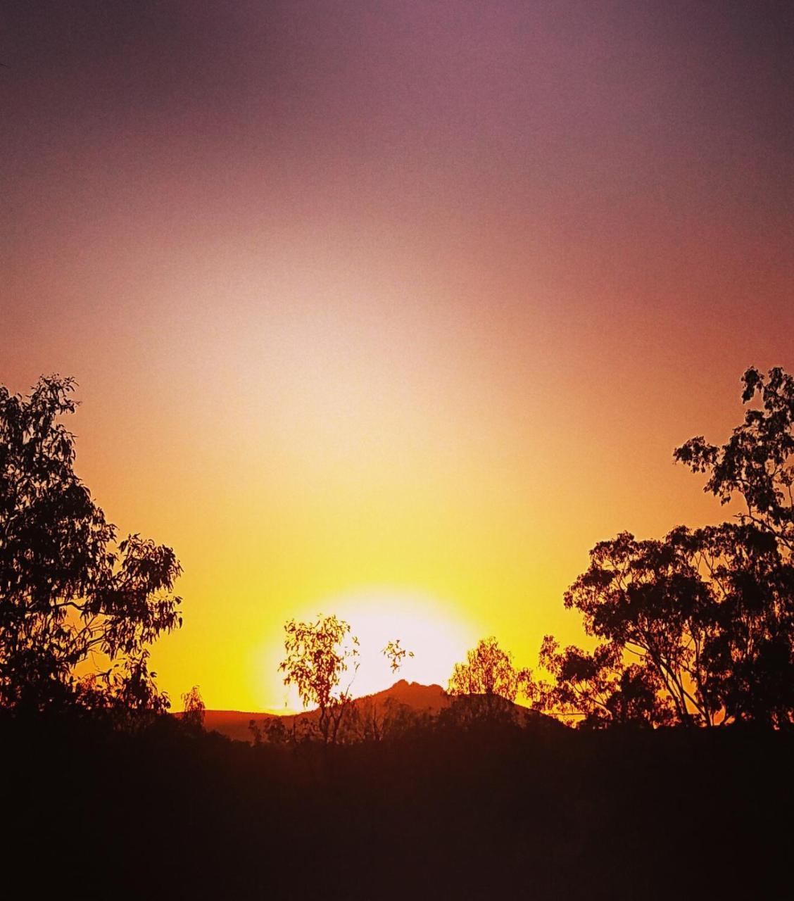 Mt Larcom Tourist Park Hotel Mount Larcom Bagian luar foto